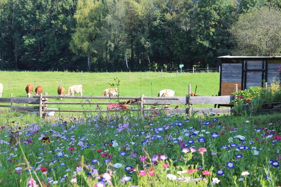 Sommer in Inzell