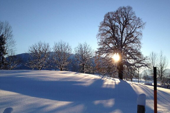 Winter in Inzell